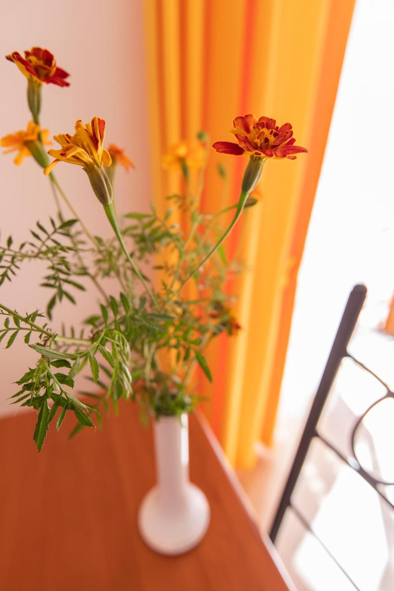 Sant'Anna Bed & Breakfast Agerola Exterior photo